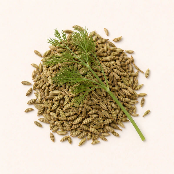 Fennel