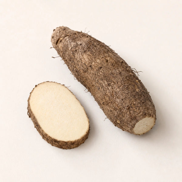 Wild Yam