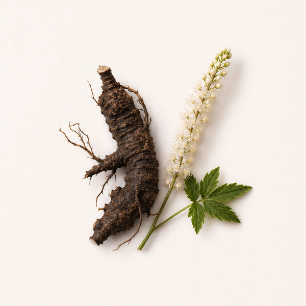 Black Cohosh